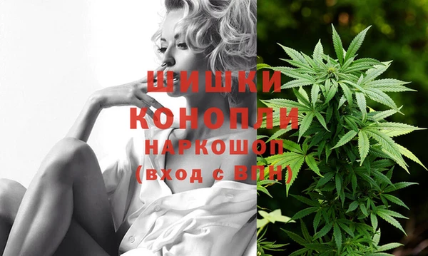 СК Верея