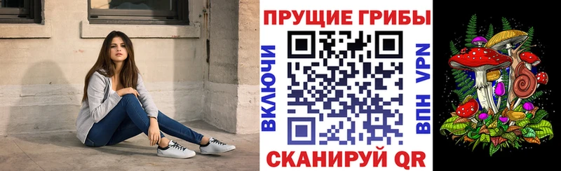 Галлюциногенные грибы прущие грибы  Семёнов 
